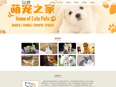 猫狗日记宠物主题html网页设计制作dw网页源码