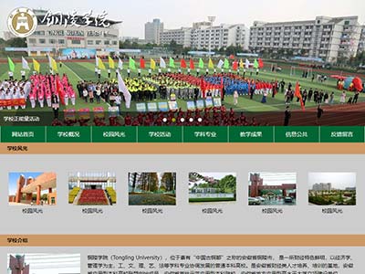 我的学校主题学生网页作品html网页源码
