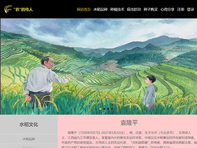 web前端html网页农的传人袁隆平杂交水稻之父人物主题网页设计模板源码